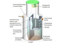 Панда Нала 1